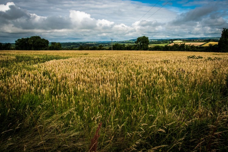 Ireland Holiday 0010 - 20160731