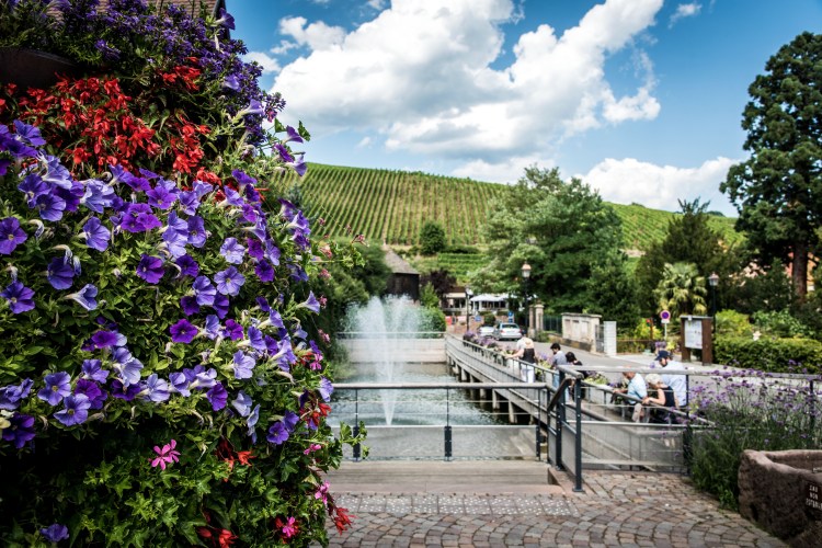 Colmar with Ann, Doru &amp; Seb 0202 - 20160902