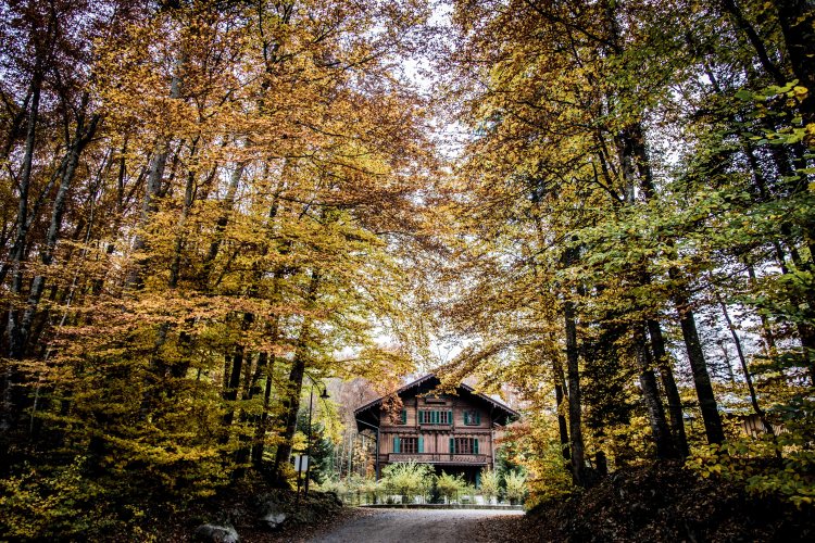 happy-herbst-0232-20161106