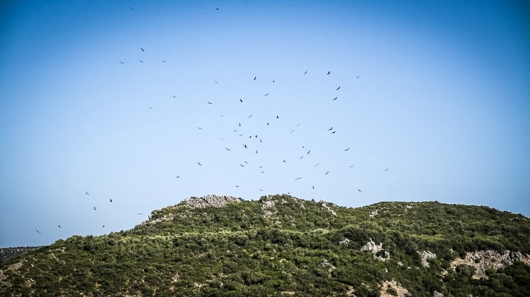 Spanish Sojourn - Zahara de los Atunes-706-1