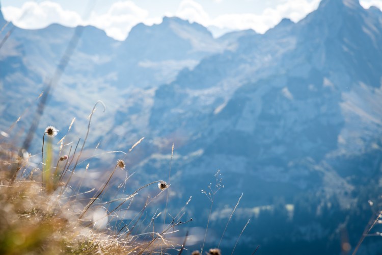 Soph &amp; Jake - Stoos-053