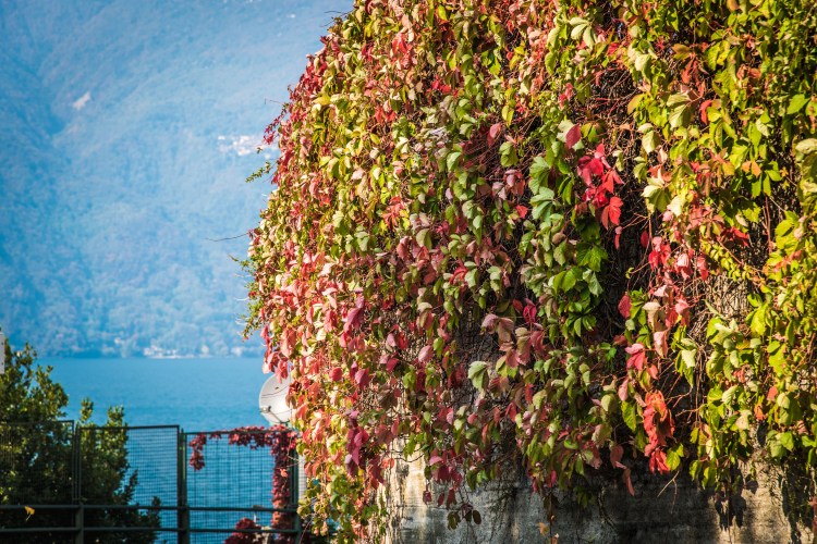 Soph &amp; Jake Visit -Lake Como-070