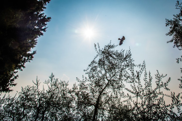 Soph &amp; Jake Visit - Lake Como-121